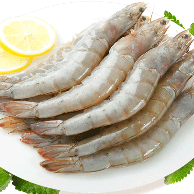 鲜活大虾海鲜青岛超大基围虾1600g