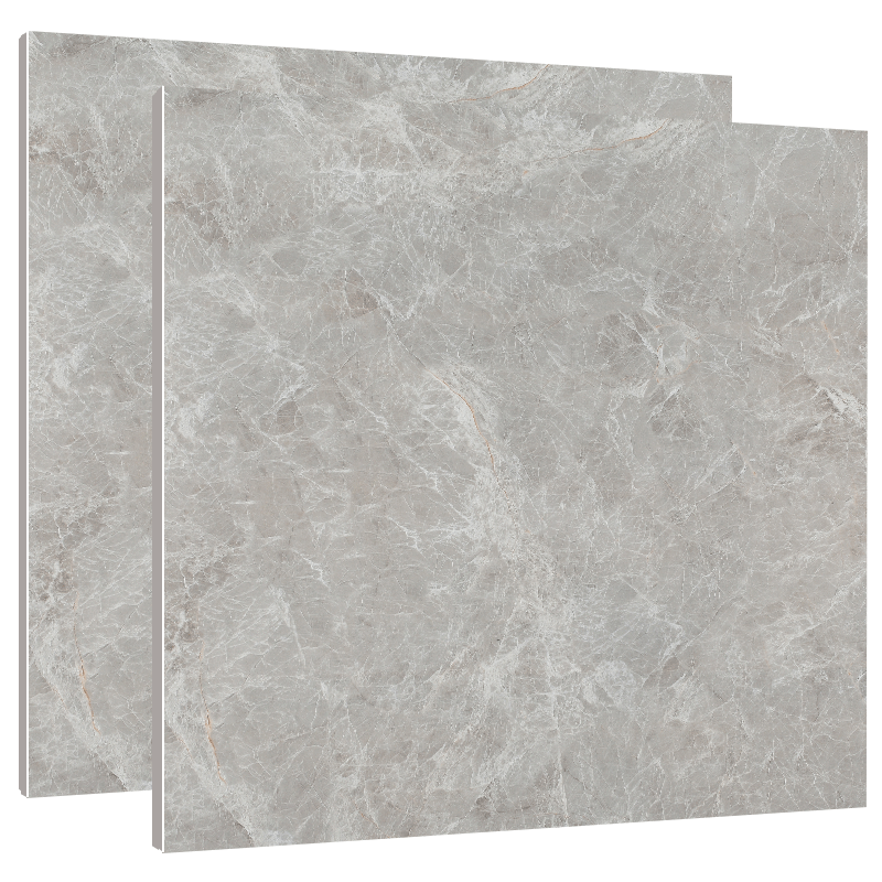 东鹏瓷砖 灰色瓷砖地砖800x800 客厅地板砖新款全抛釉 防滑地砖