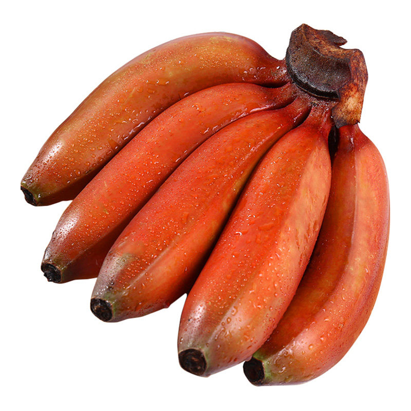 福建漳州红美人香蕉5斤新鲜红皮芭蕉水果自然熟10红色香甜香焦