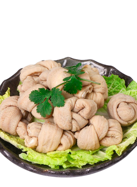 四川特产火锅冒节子500g约32个肥肠结关东煮串串香食材猪小肠冒菜