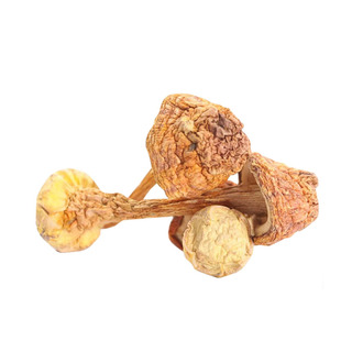 云南姬松茸干货 新货巴西菇 食用菌木耳香菇500克散装松茸菌包邮 券