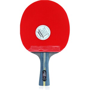 红双喜六星专业级直拍6002乒乓球拍