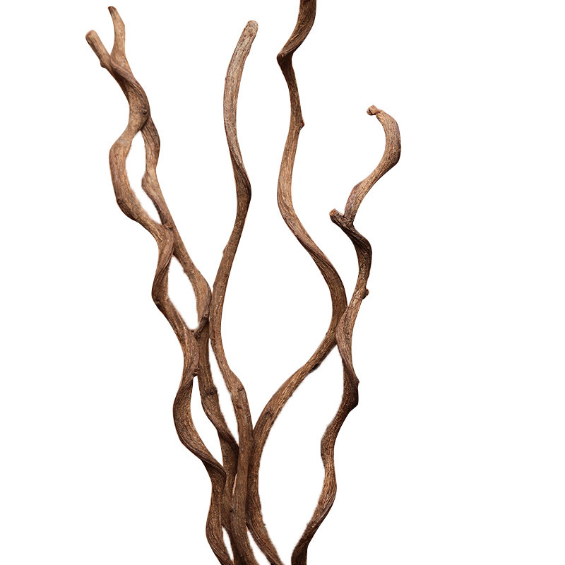 园艺过江龙腾干藤条干花树藤干枝装饰花藤假花仿真花藤枯藤山藤条