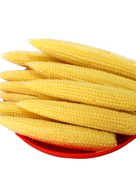 广西横县农产品玉米笋心带皮迷你芯