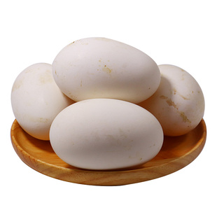 超大8枚咸蛋150克枚包邮五谷灰天鹅蛋农家散养咸味大鹅蛋天然养