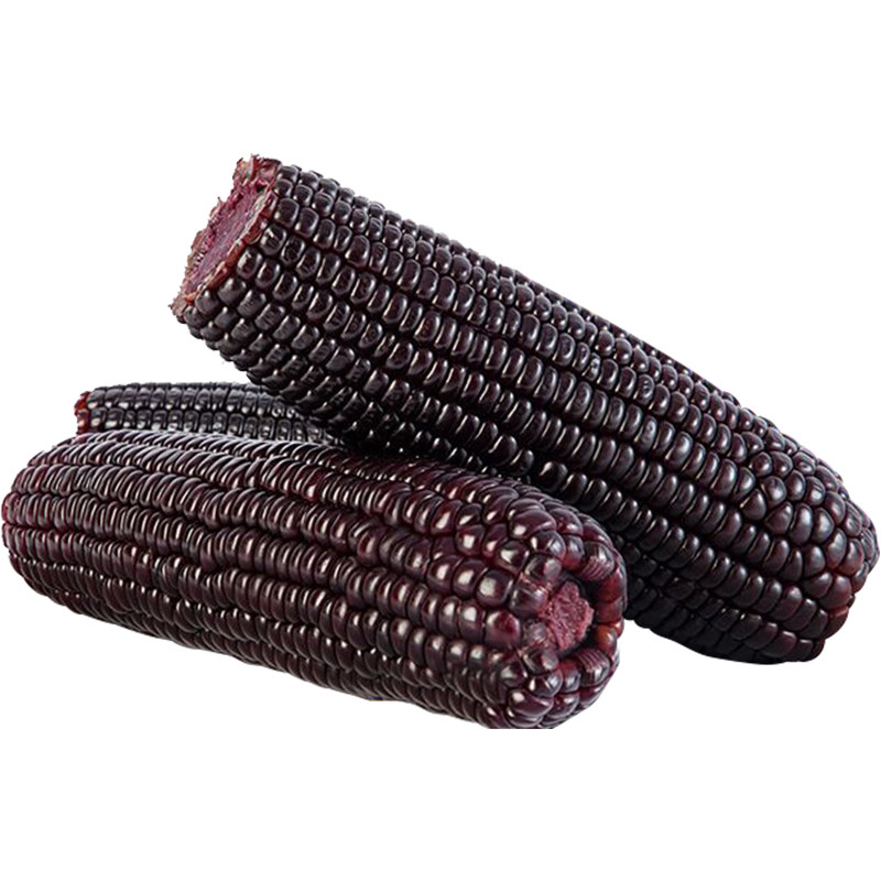 宏碁acer 墨舞ex214 14英寸笔记本 (i5-10210u,8g,512gb,mx250),3969