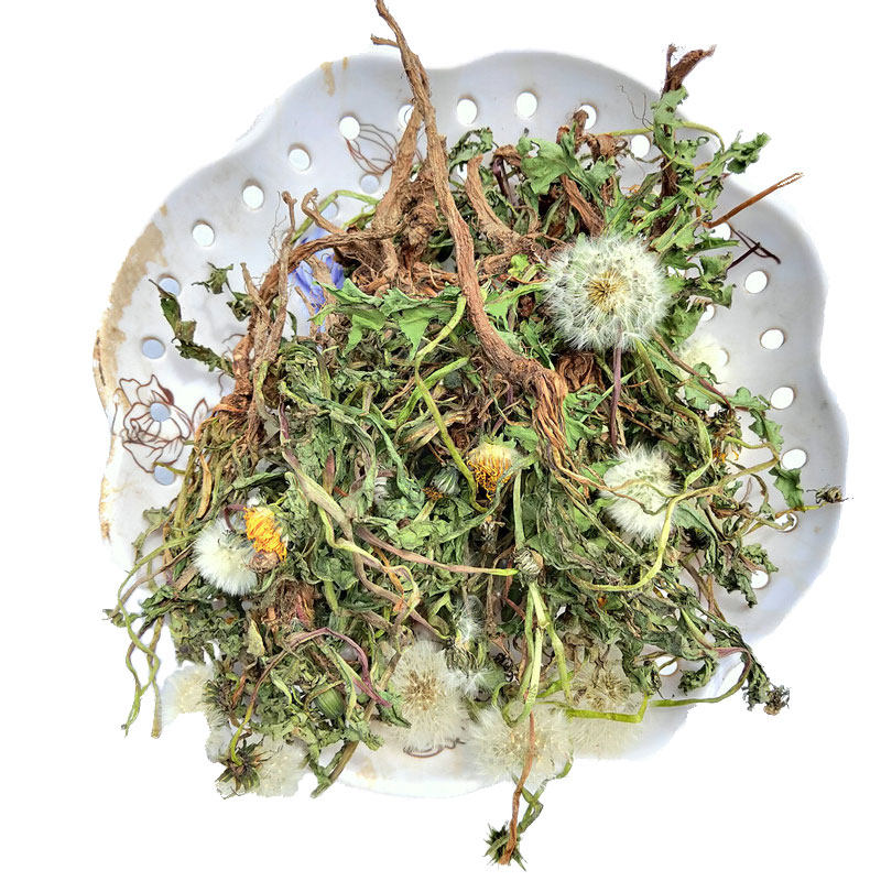 蒲公英茶新鲜野生婆婆丁根正品特级甫公英干货泡水全草中药材整棵