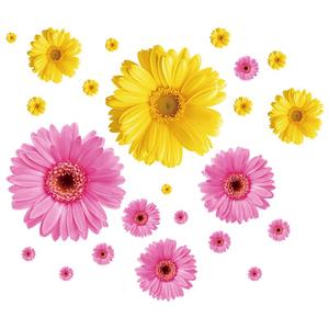 哪款贴花纸销量好_2023年贴花纸热销榜 - 十大牌子网