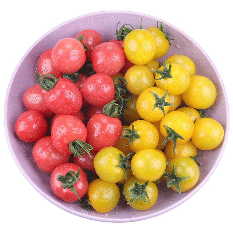新鲜现摘夏日阳光黄色小番茄贝贝红色圣女果混装5斤小柿子西红柿