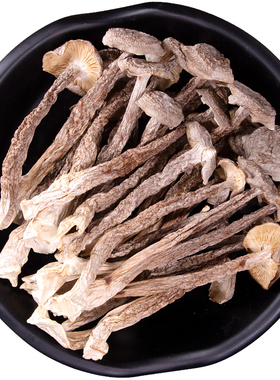 鹿茸菇干货鹿茸菌云南特产干香菇类新鲜菌汤包鹿茸菇蘑菇菌菇500g