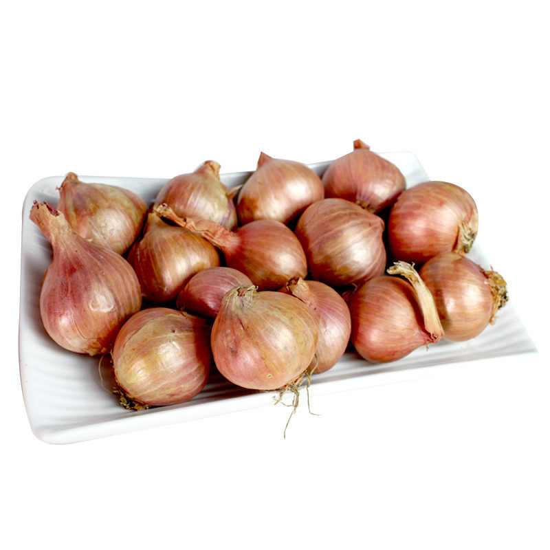 东北毛葱农家种植小洋葱鬼子葱红葱头新鲜小毛葱洋葱一份5斤包邮