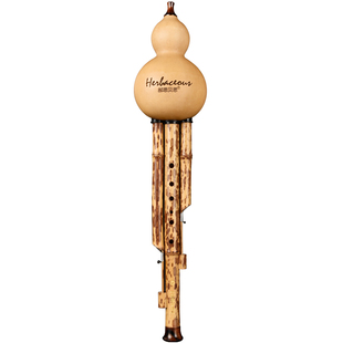 毕格宝梅鹿竹傣味葫芦丝c调agf调d降b调专业演奏型品牌正品葫芦丝 券