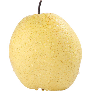 雪花梨赵县新鲜梨包邮雪梨水果新鲜当季梨子新鲜10雪梨整箱5斤9斤