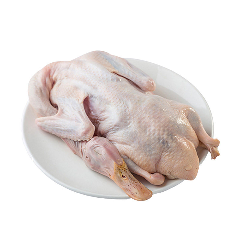 新鲜鸭肉整只现杀小料麻鸭莲花血鸭农家非炖汤老母鸭江西永新特产