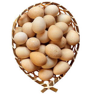 新鲜30枚农家飞龙蛋营养鸟蛋鹧鸪蛋