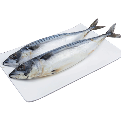 挪威活冻鲭鱼青花鱼400-500克/条煎烤炸俱佳可做寿司料理鲐鱼