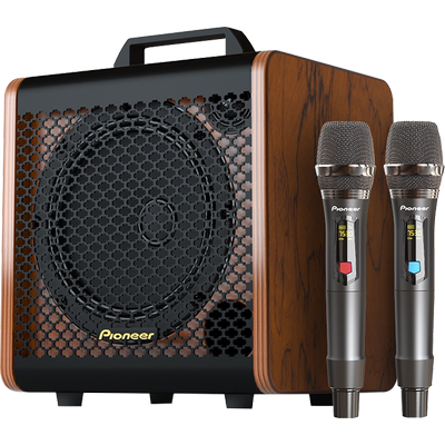 【pioneer先锋】户外k歌音响