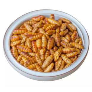 【蝉蛹即食香酥油炸】下单制作方便即食新鲜金禅知了猴禅速食香油