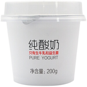 今时代0蔗糖纯酸奶无糖健身益生菌