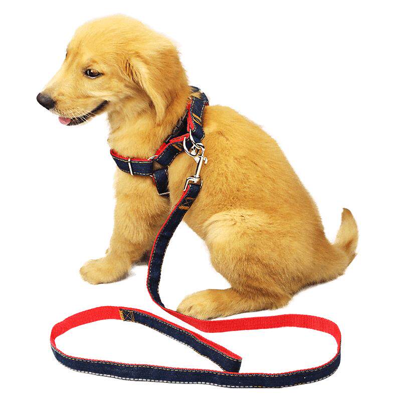 狗狗牵引绳项圈金毛泰迪中型小型幼犬遛狗绳子小狗链子宠物狗用品
