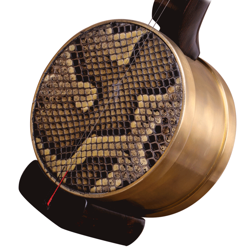 黑檀木料专业演奏大擂琴乐队剧团用雷琴苏州工艺坠胡民族拉弦乐器