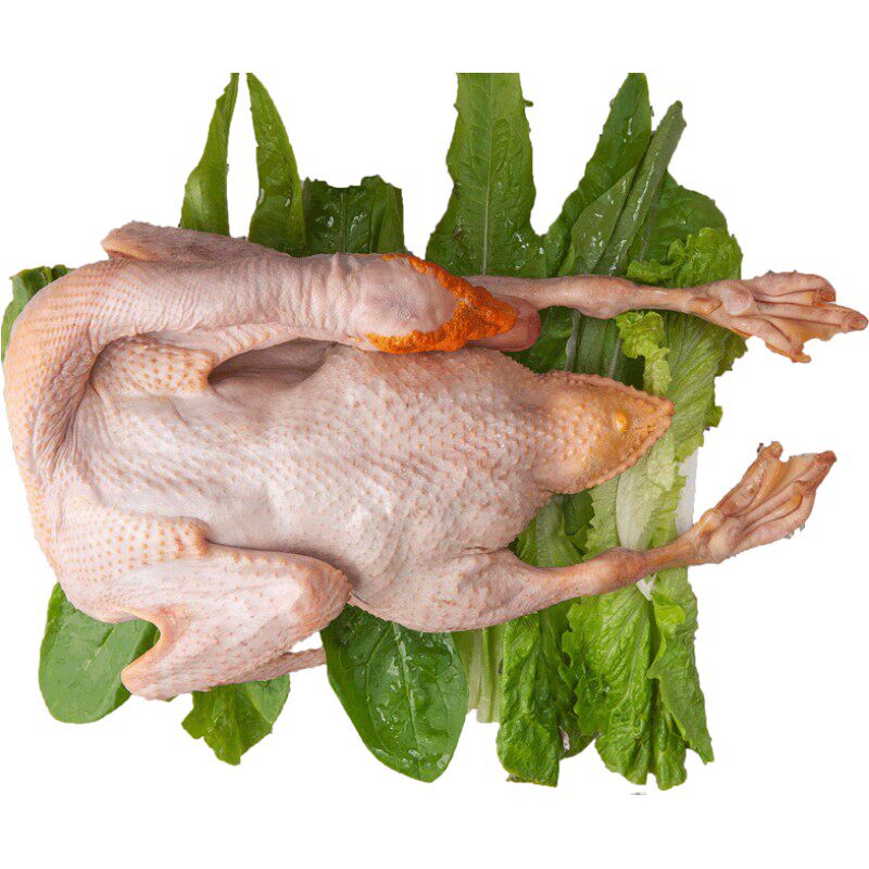 农家红脸番鸭散养土鸭子整只飞鸭清水鸭谷饲母鸭新鲜生鸭肉活体杀