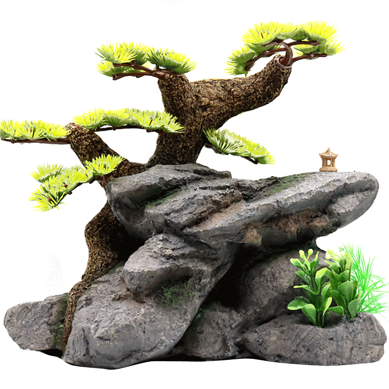 【用户实话】鱼缸装青龙石头迎客松水族套餐水草买了后悔?