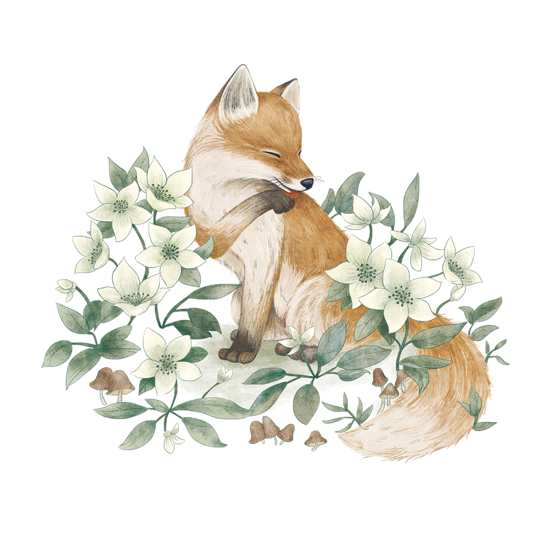 墙贴简约手绘狐狸客厅卧室北欧ins贴纸自粘墙纸装饰宿舍床头文艺_不