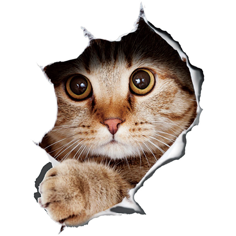 3d个性汽车贴纸 车门车尾3d立体动漫搞笑创意仿真小猫车身遮痕贴