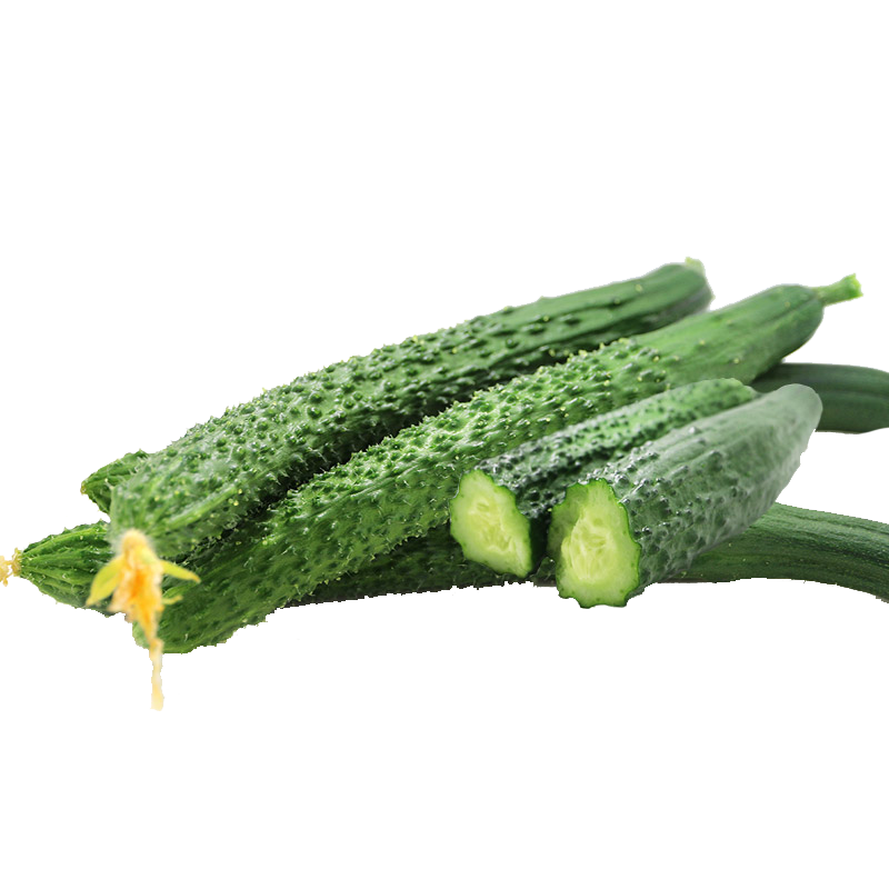 密云新鲜蔬菜 长黄瓜 清脆爽口黄瓜味浓 儿时的味道 500g - 密农人家