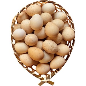 新鲜30枚农家飞龙蛋营养鸟蛋鹧鸪蛋