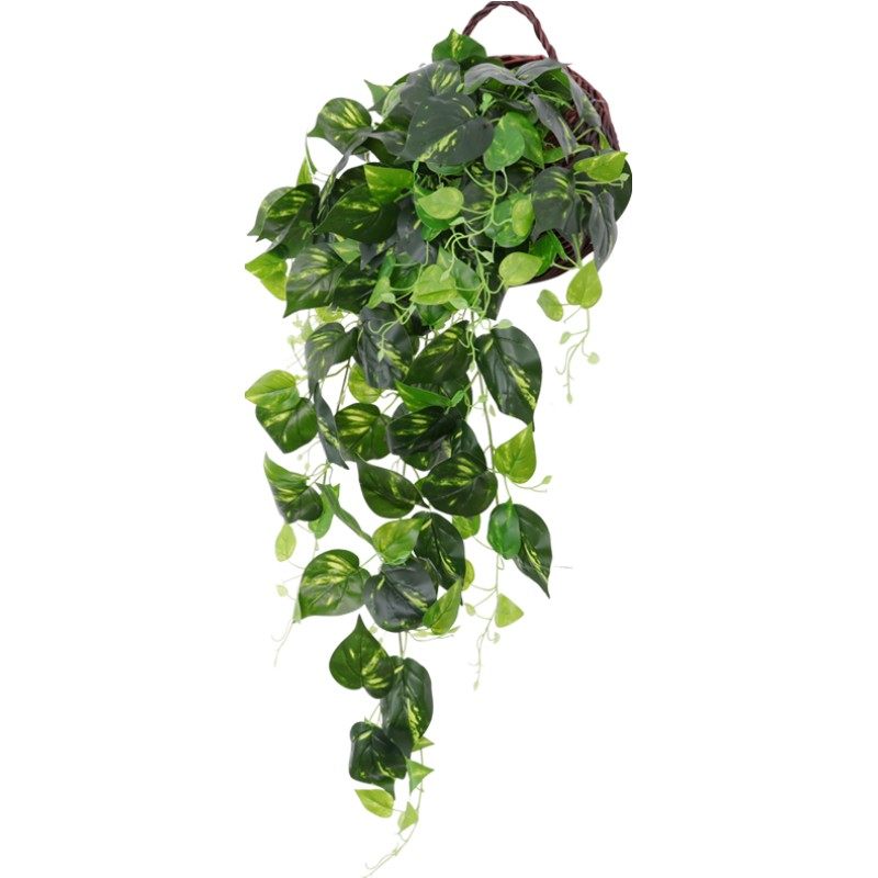 假壁挂花藤条装饰花藤室内挂花塑料吊花仿真植物挂墙壁花垂吊墙花