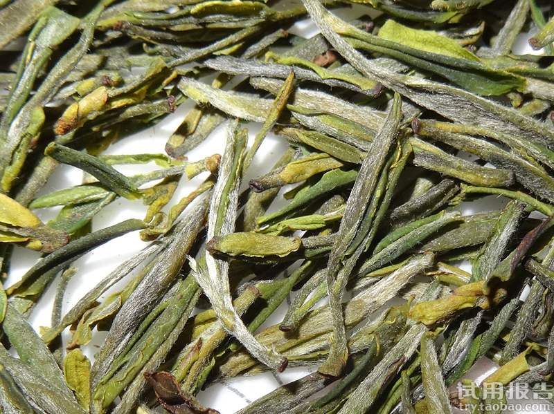 2014新茶叶 特级 岳西翠兰图片