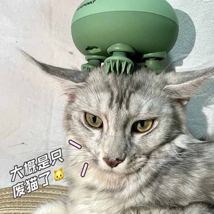 蓝宝头部按摩器摩仪全自动经络疏通猫咪按摩仪太阳穴助眠头疼失眠