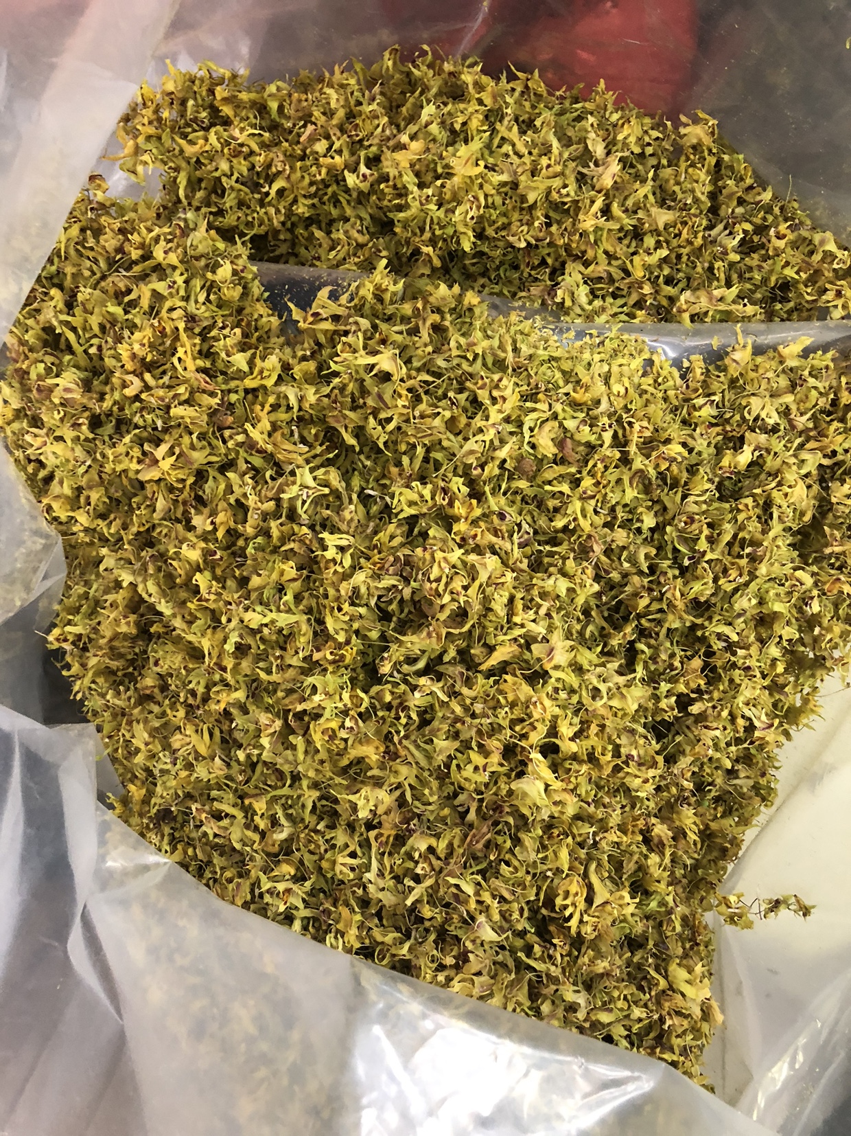 浙江乐清雁荡山原产地铁皮石斛花干泡茶煲汤食用茶饮铁皮石斛干花