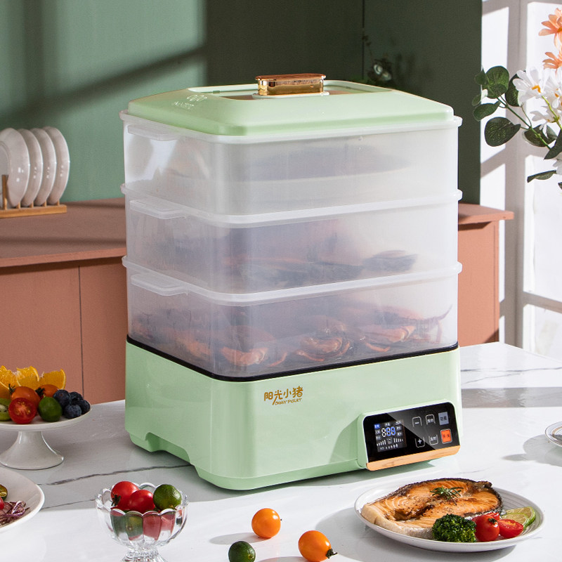 网红蒸锅电蒸锅智能可预约长方形蒸鱼锅家用插电定时透明锅小煮锅
