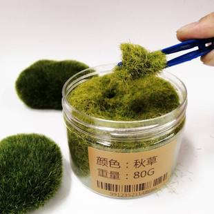 DIY沙盘模型草粉仿真青苔苔藓假山造景植物墙铺装饰假草坪地形粉