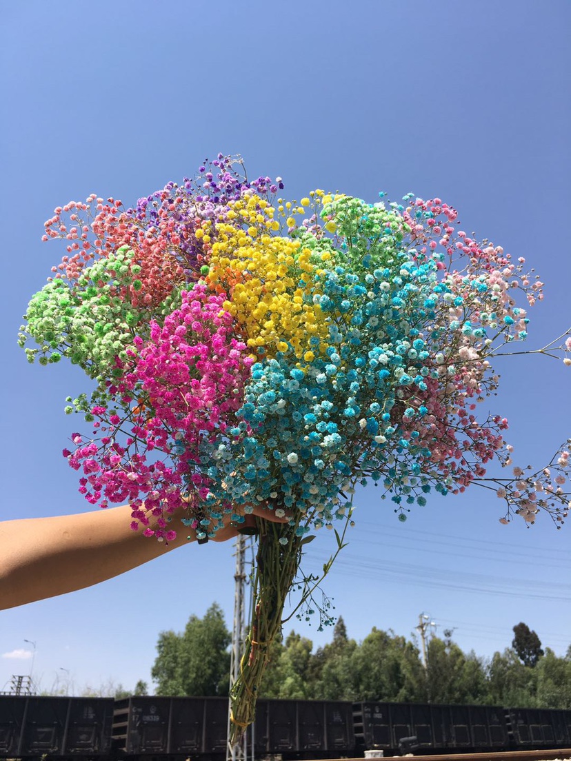 热销各种颜色满天星