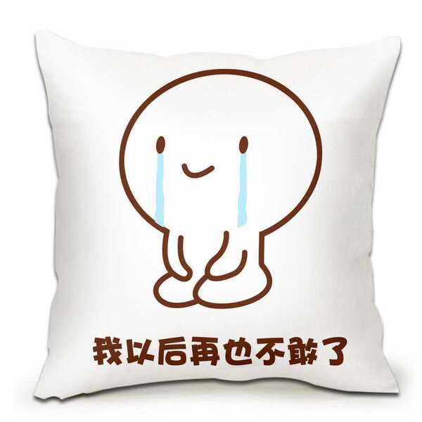 生日礼物创意情人节送女生女友老婆浪漫向老婆道歉认错的赔礼神器