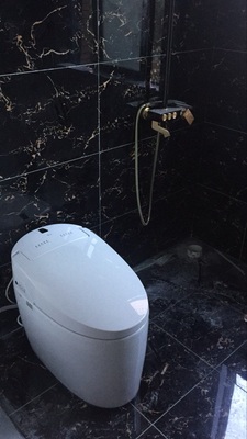 吐槽实际感受浪鲸卫浴智能马桶怎么样，真实质量如何呢？