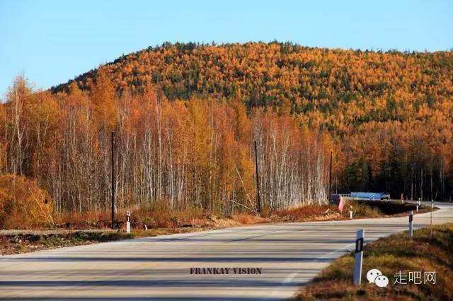 111国道,一等一的绝美风光大道!这个秋天一定要自驾一次!