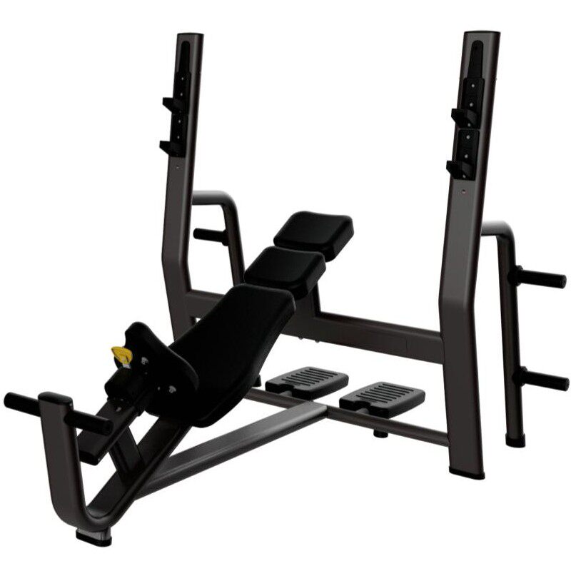 bailih百利恒上斜卧推架健身商用专业胸上部肌肉训练器械家用锻炼