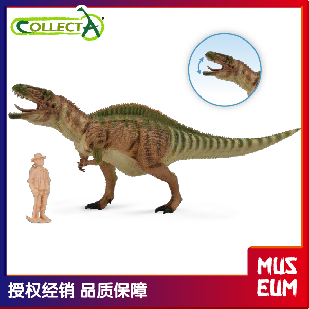 CollectA我你他 恐龙仿真动物模型玩具侏罗纪男孩女孩高棘龙88718