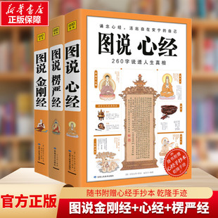 3册 图说金刚经+心经+楞严经 全套经典图解版文白对照 佛经佛学书籍初学者入门 经典十三经原文解释 经书禅修经文 读本