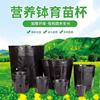家用树盆景一次性花盆塑料迷你塑料工具幼苗育苗袋苗木多肉摔不坏 家用树盆景一次性花盆塑料迷你塑料工具幼苗育苗袋苗木多肉摔不坏