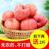山东烟台栖霞红富士脆甜苹果新鲜不打蜡孕妇平果水果包邮共发10斤|ru 山东烟台栖霞红富士脆甜苹果新鲜不打蜡孕妇平果水果包邮共发10斤|ru