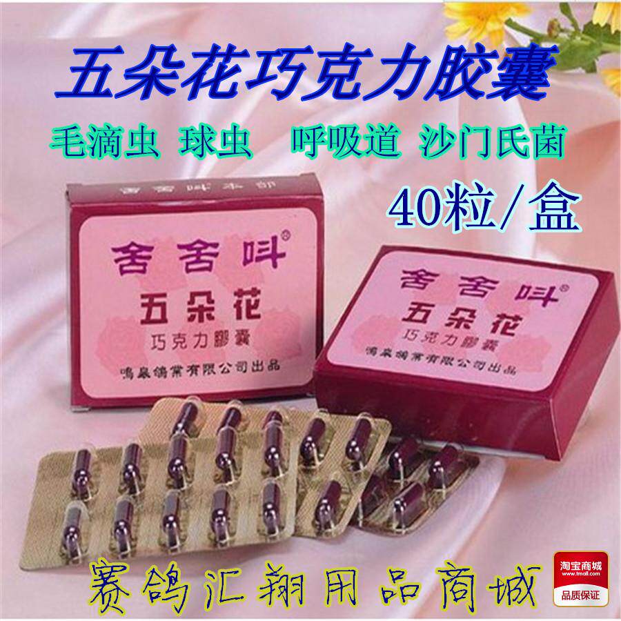 台湾舍舍呌鸽药/呼吸道多合一鸽子/球虫/舍舍叫五朵花巧克力胶囊