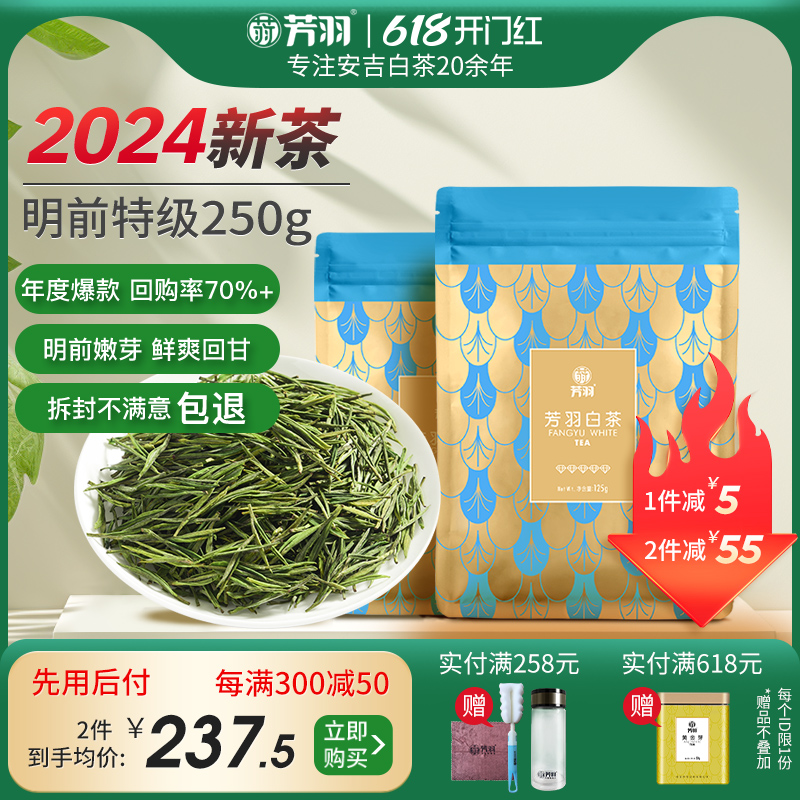 2024年新茶芳羽安吉白茶正宗明前