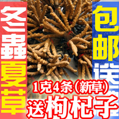 北京同仁堂 冬虫夏草/同仁堂 精选1克4条 虫草专柜正品 包邮送礼