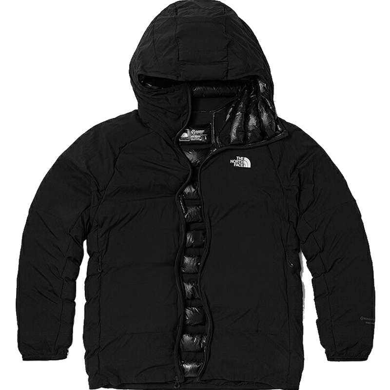 北面800蓬羽绒服男